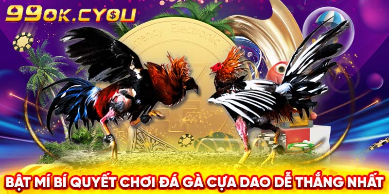 Bật mí bí quyết chơi đá gà cựa dao dễ thắng nhất