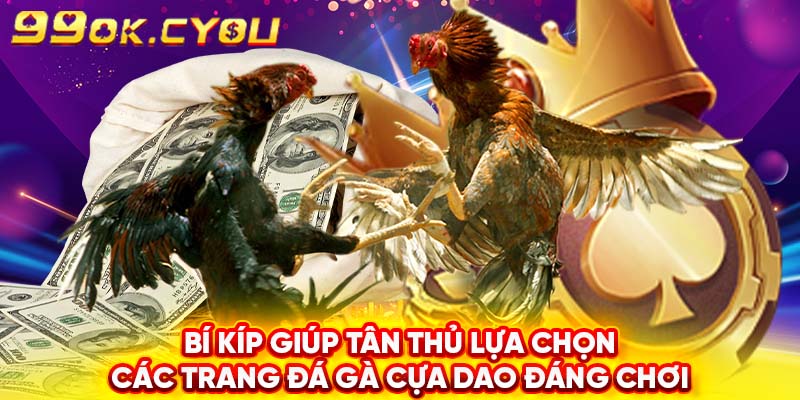 Bí kíp giúp tân thủ lựa chọn các trang đá gà cựa dao đáng chơi