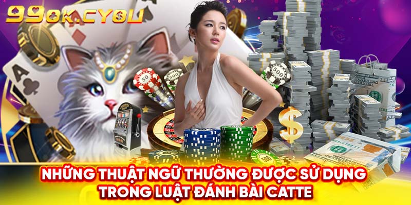 Những thuật ngữ thường được sử dụng trong luật đánh bài catte 