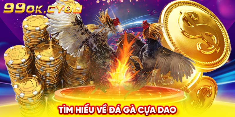 Tìm hiểu về đá gà cựa dao